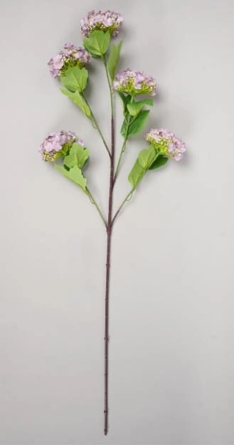 Small Hydrangea Bunch x 5